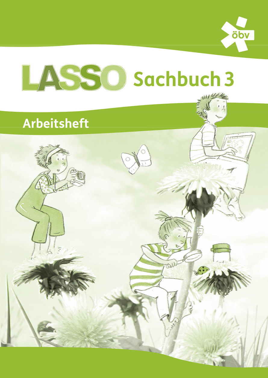 Lasso Sachbuch 3, Arbeitsheft