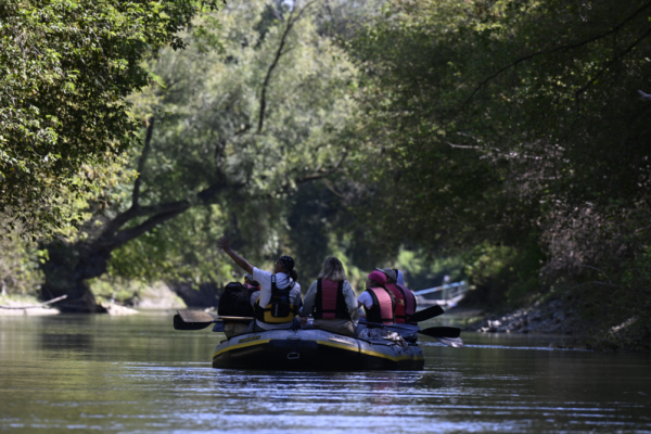 Renaturierung in Donau-Au bringt Comebacks und zweifelhafte Newcomer