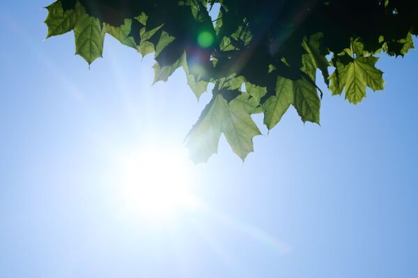 94151351488526196 BLD Online