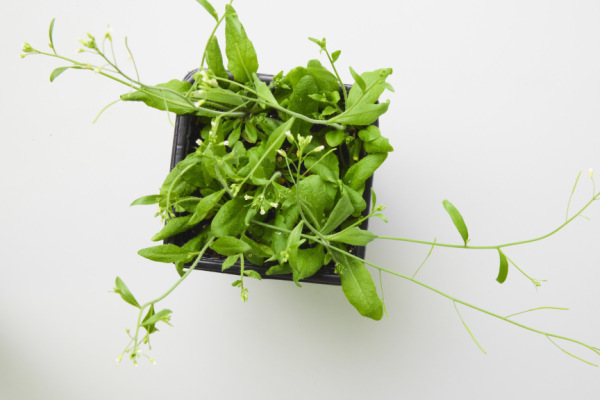 94151351489486318 BLD Online