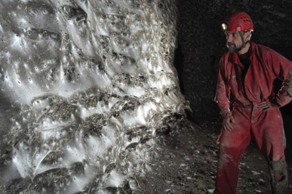 94151351489486426 BLD Online