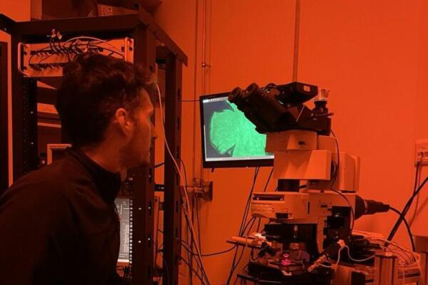 Sehprothese - Forscher steuern Sehzellen von hinten an