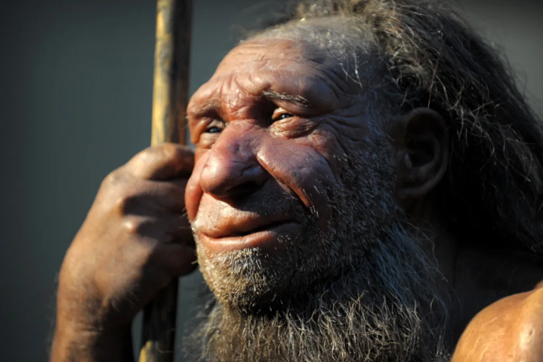 Neue Erkenntnisse über späte Neandertaler-Siedlungen in der Toskana