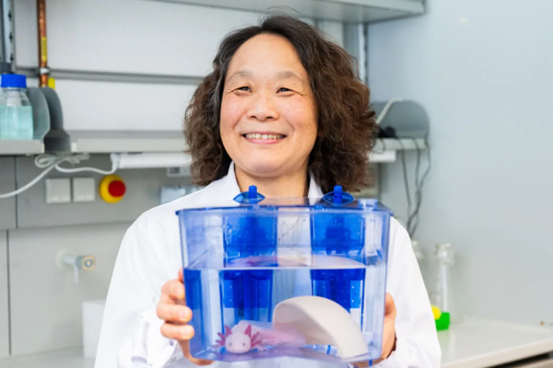 Regenerationsforscherin Elly Tanaka erhält "Austro-Nobelpreis"