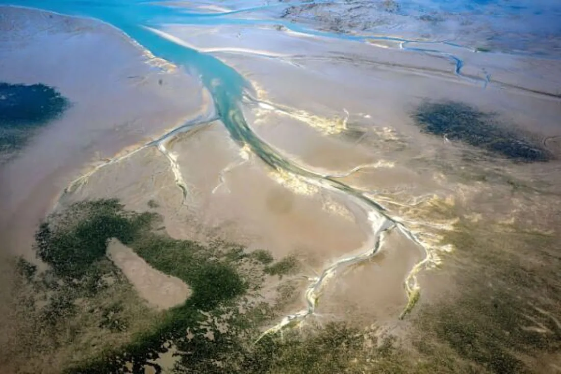Biologische Vielfalt im Wattenmeer hat sich stark verändert