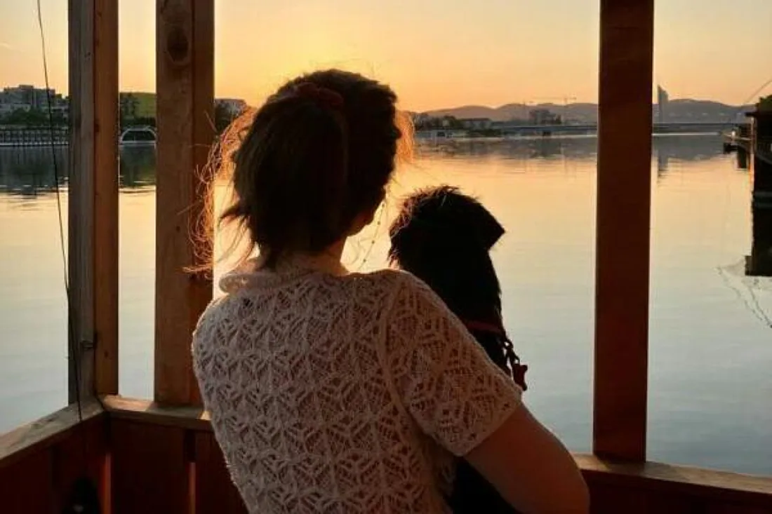 Forscherinnen: Hunde kommunizieren mit Menschen situationselastisch