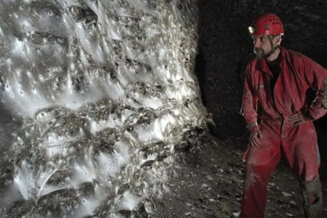 Gewaltiges Spinnennetz in Höhle in Griechenland entdeckt