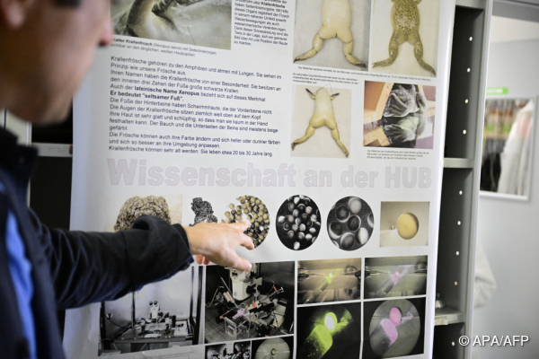 Nobelpreis - Drei Forscher mit "stärkstem Momentum" in Optogenetik