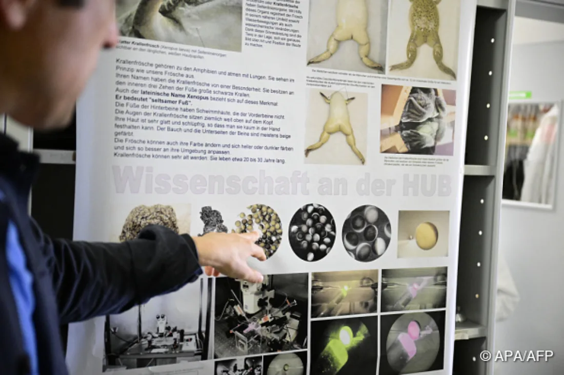 Nobelpreis - Drei Forscher mit "stärkstem Momentum" in Optogenetik