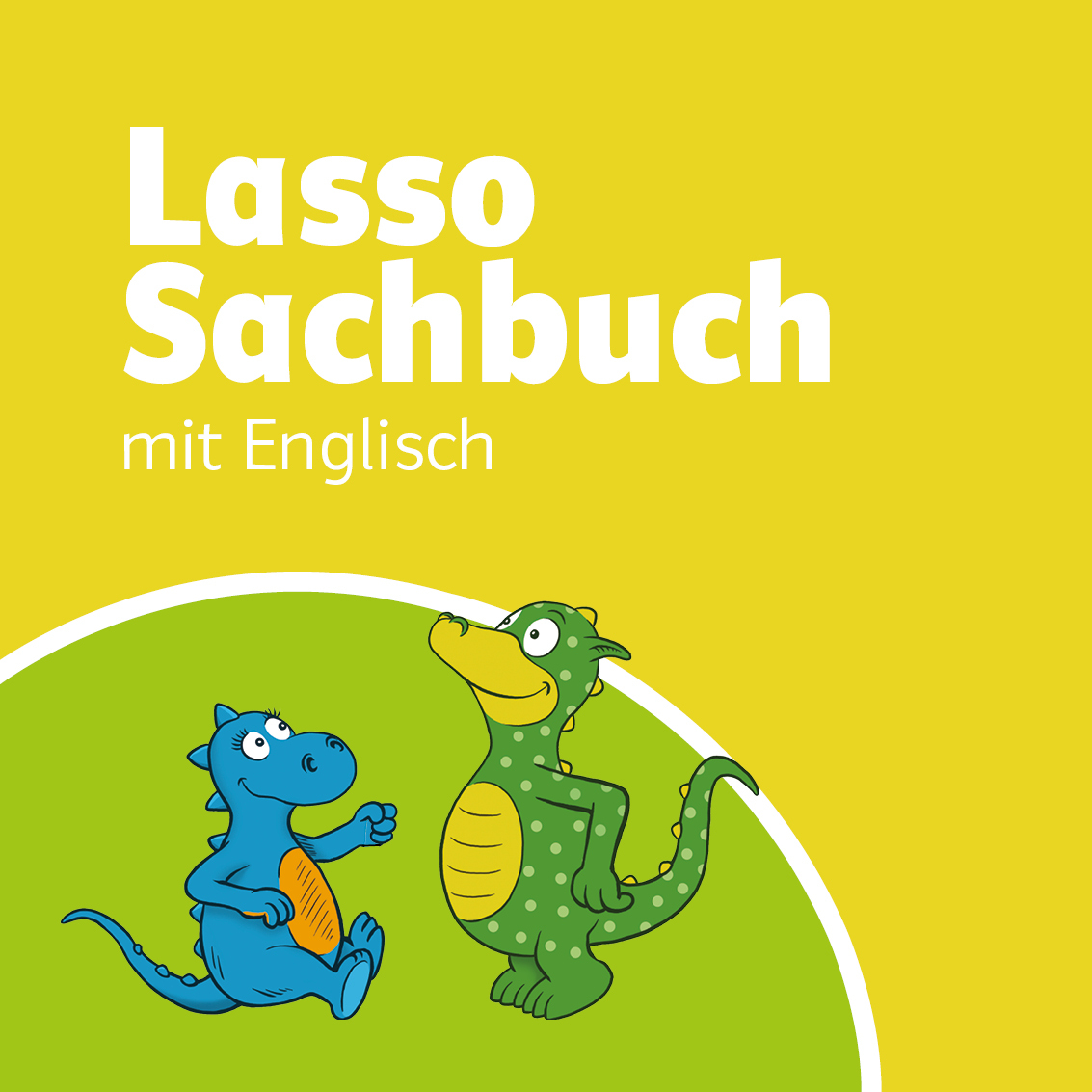 Quadrat lasso sachbuch englisch