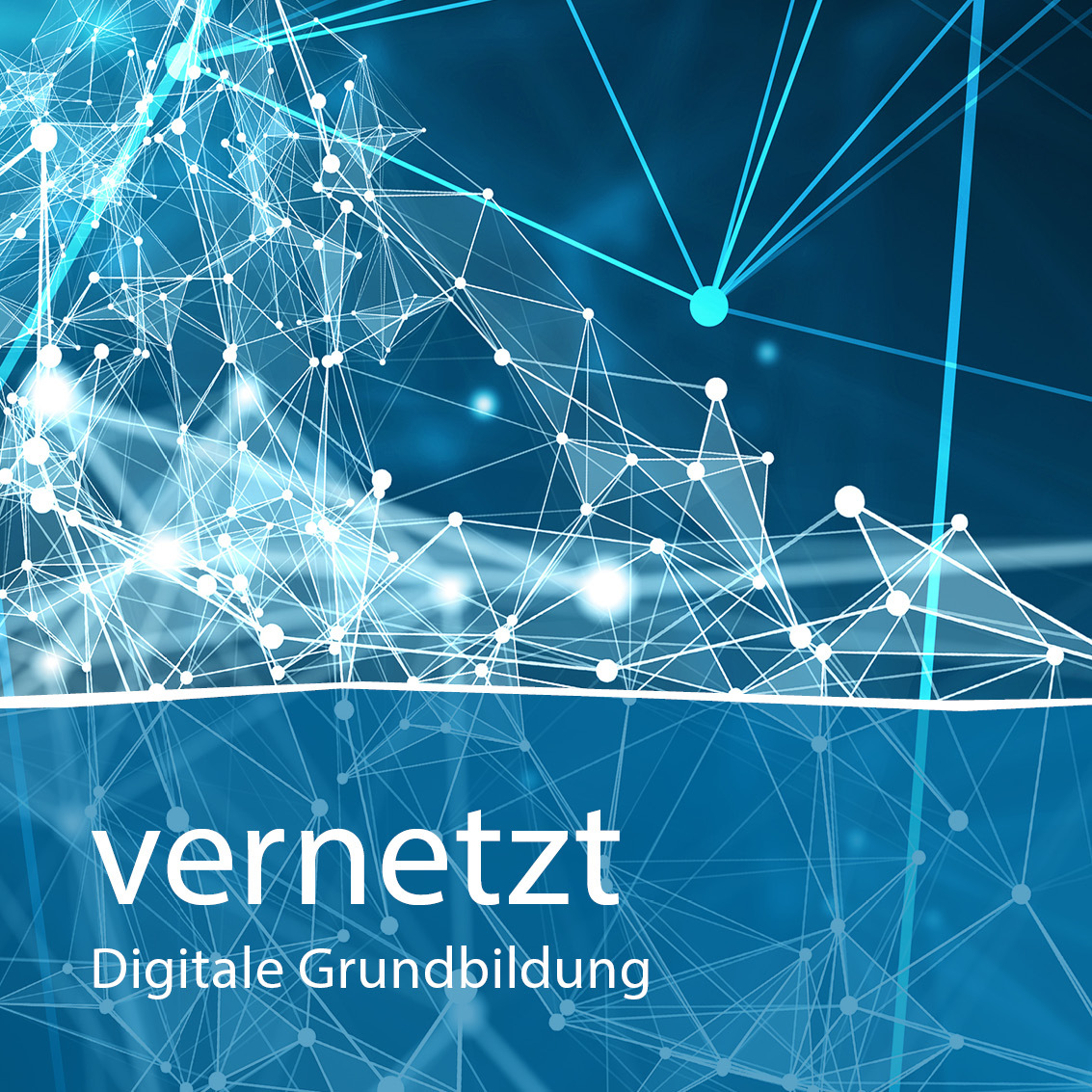 Quadrat vernetzt 22