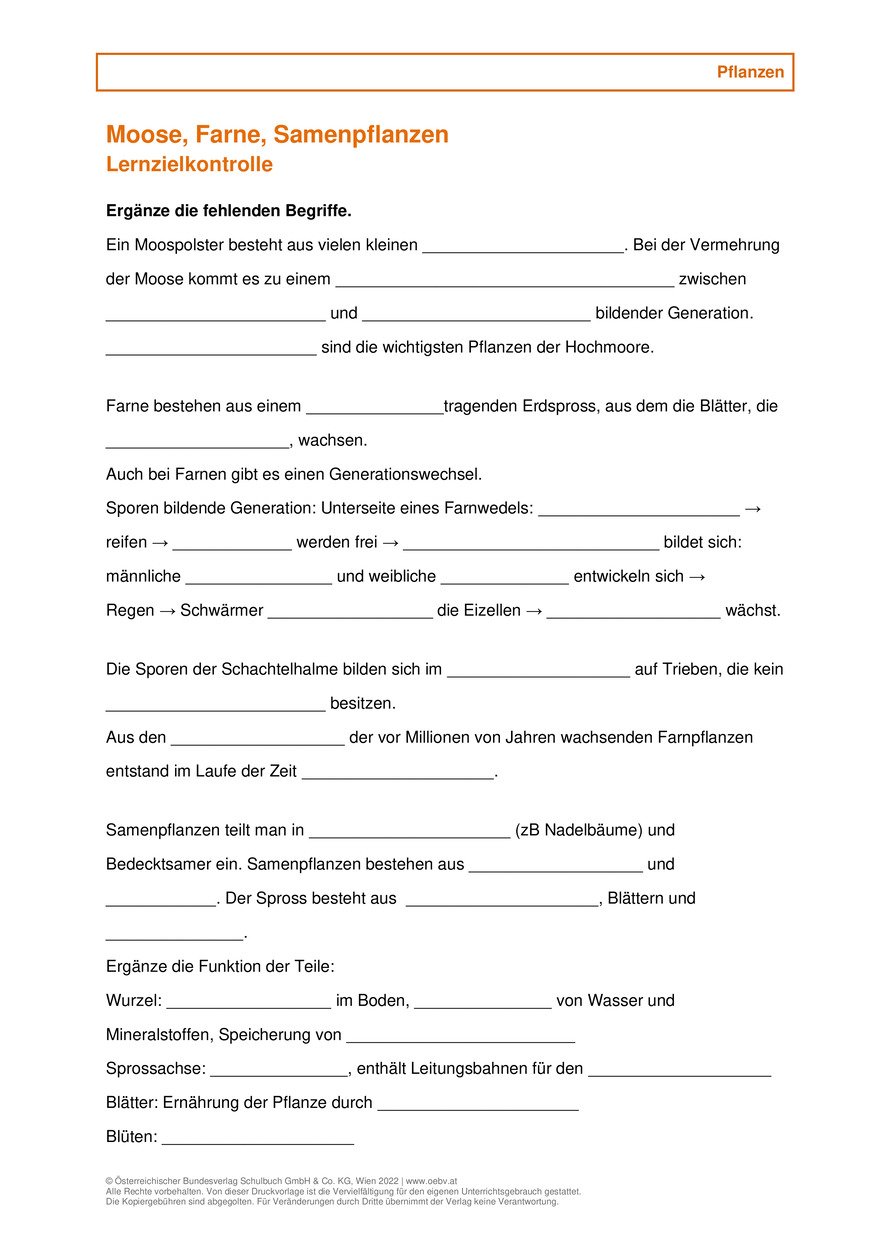 ein kaktus zum valentinstag Trendation main image 1