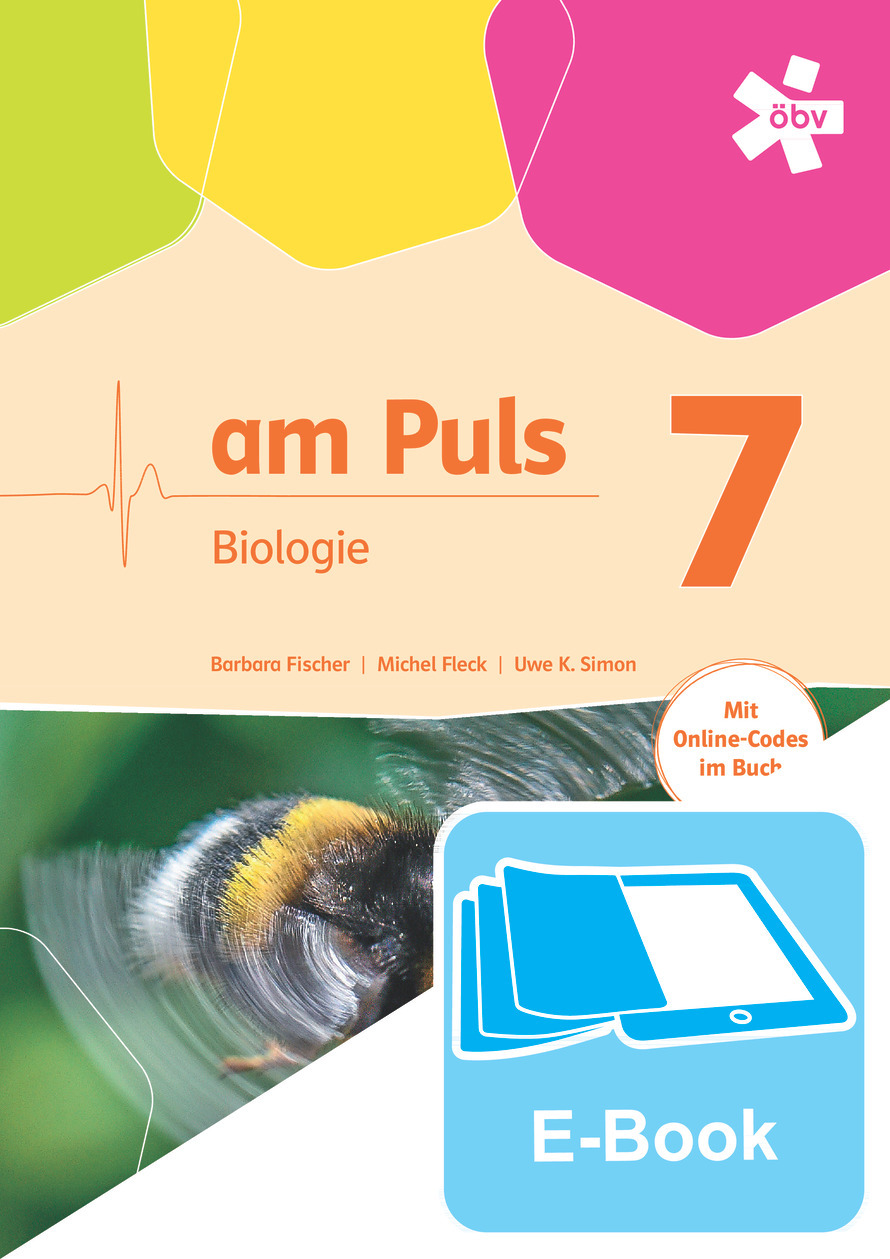 am Puls Biologie 7