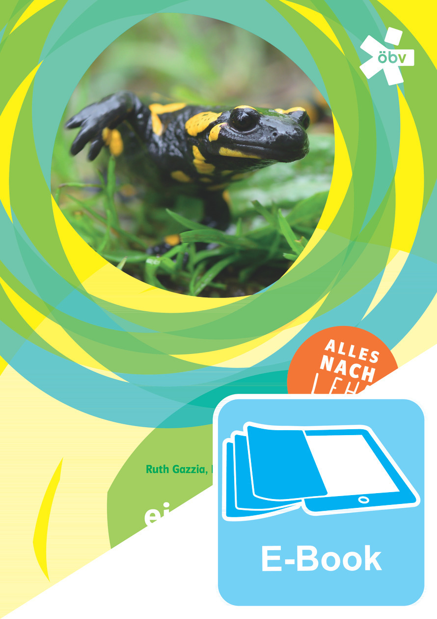 9783209131683 u1 efb2aheb solo