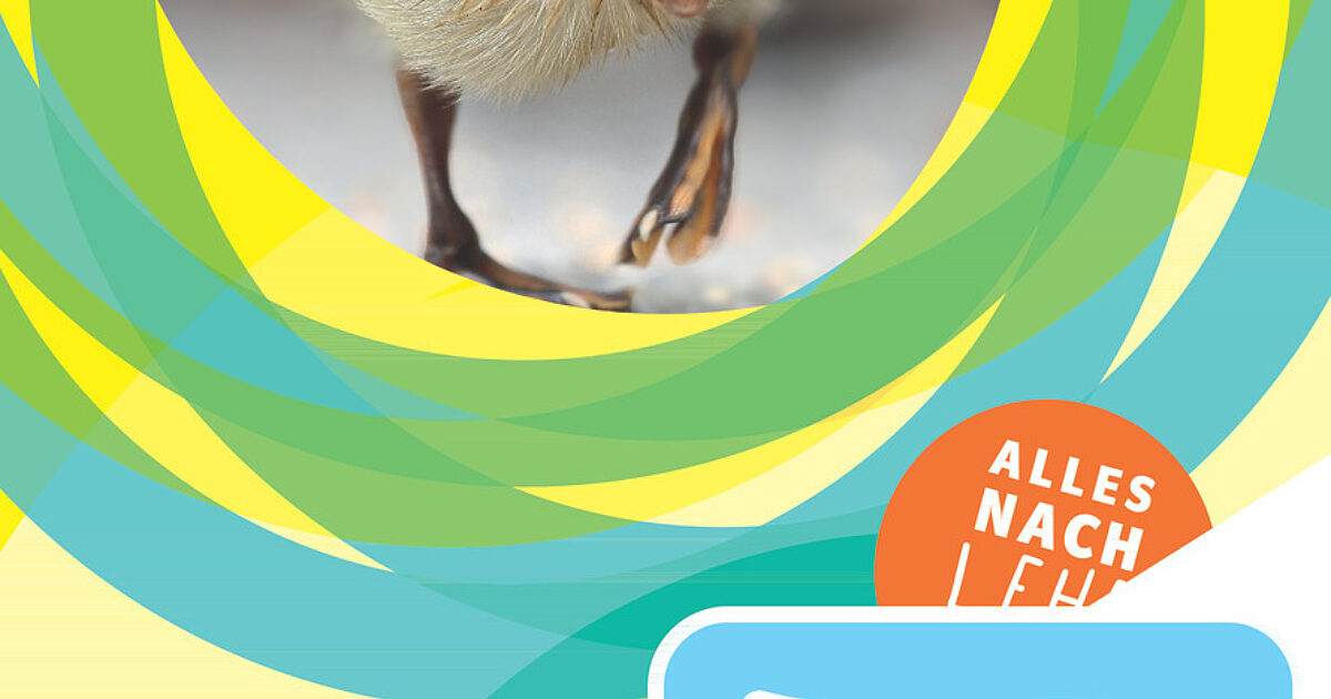 einfach bio 1 Arbeitsheft EBook Solo öbv