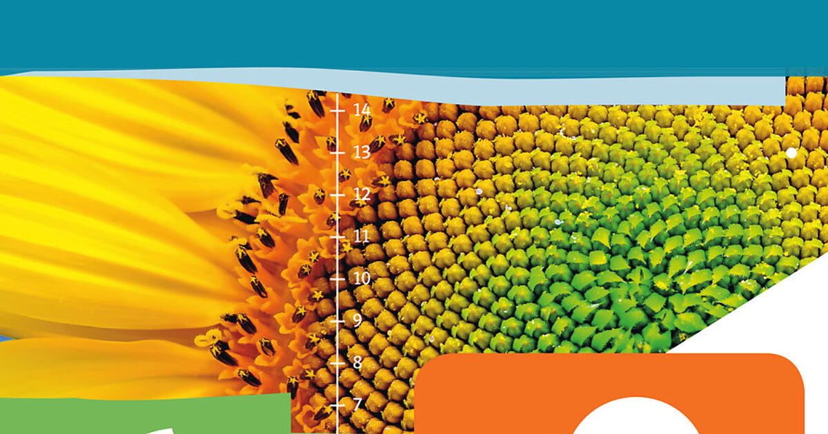 Mathematik verstehen 6 E-Book+ Solo | öbv