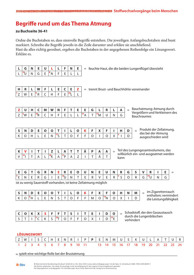 Begriffe rund um das Thema Atmung