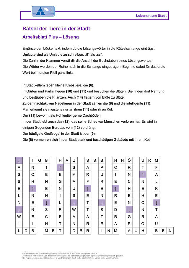 Rätsel der Tiere in der Stadt
