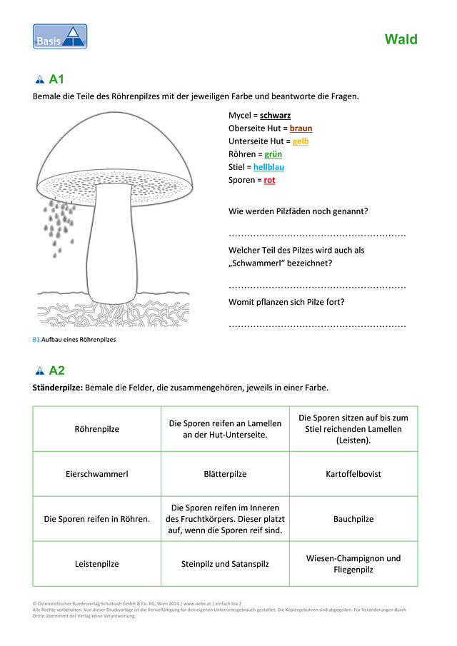 Pilze
