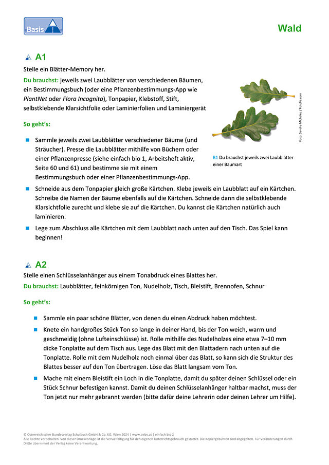 Laubfall