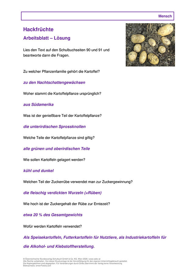 Hackfrüchte