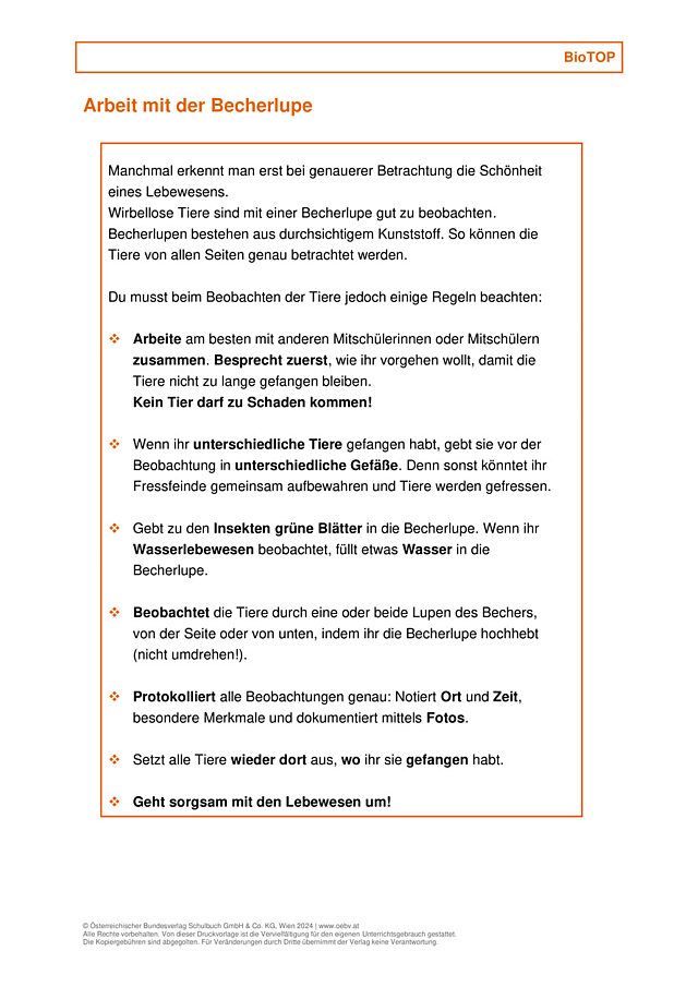 Arbeit mit der Becherlupe