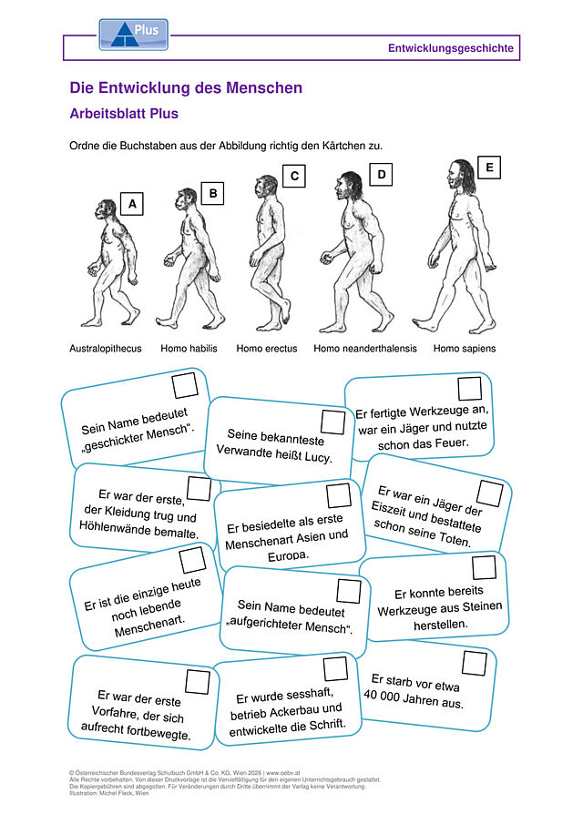 Entwicklung des ersten Menschen