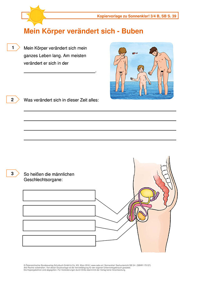 Mein Körper verändert sich – Buben