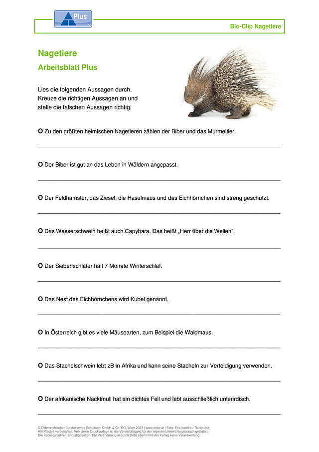 Nagetiere