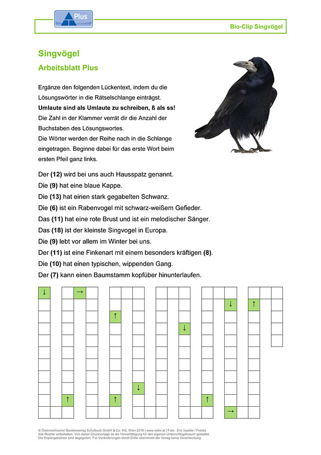 Singvögel