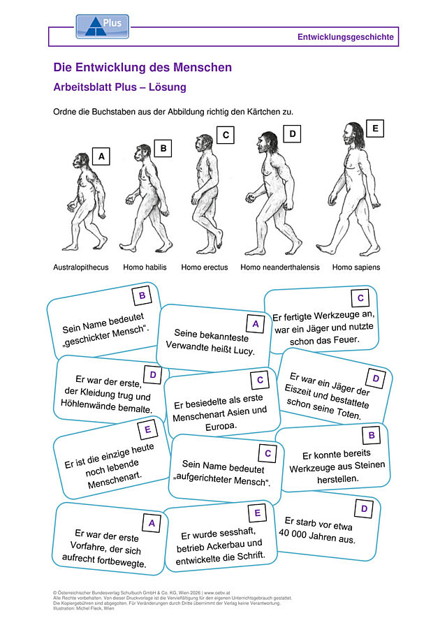 Entwicklung des ersten Menschen