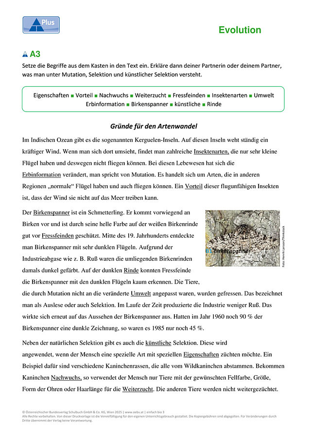 Entwicklung der Arten