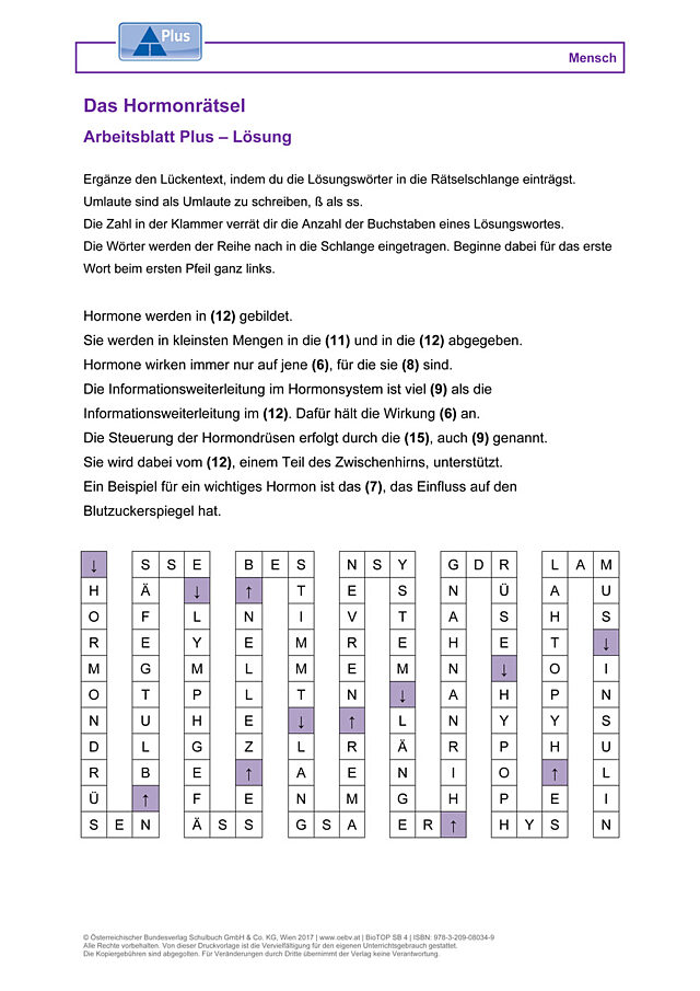 Das Hormonrätsel