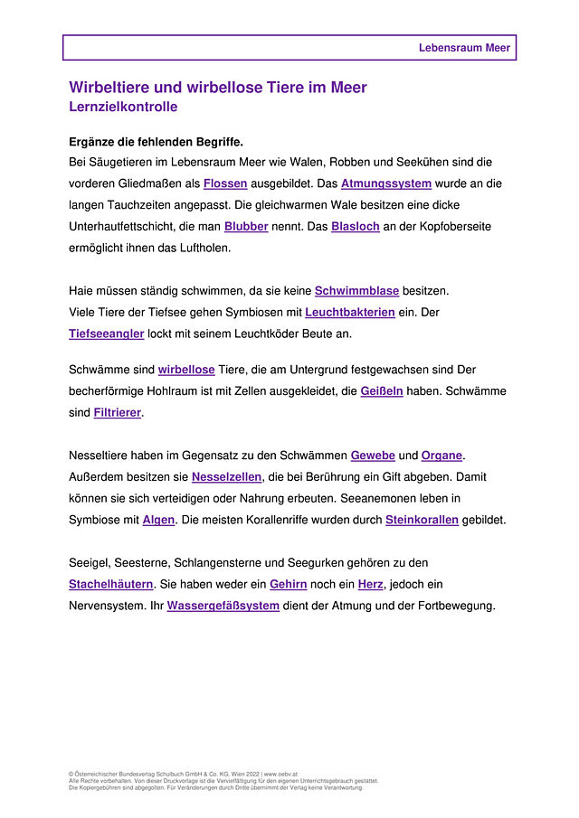 Wirbeltiere und wirbellose Tiere im Meer