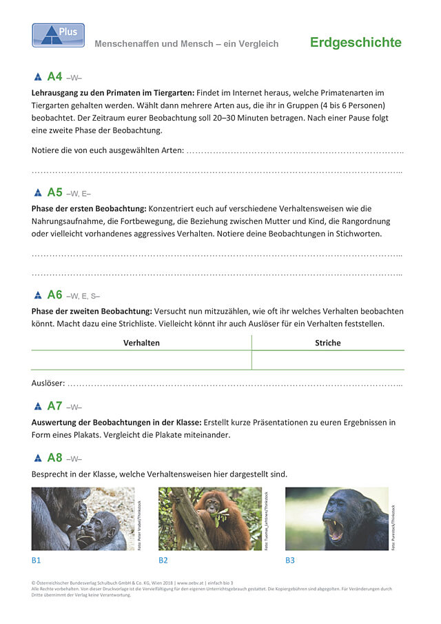 Menschenaffen