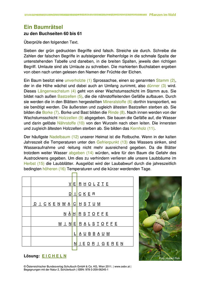 Baumrätsel