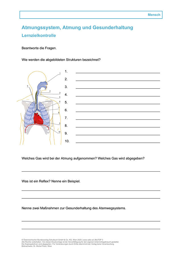 Atmungssystem, Atmung und Gesunderhaltung