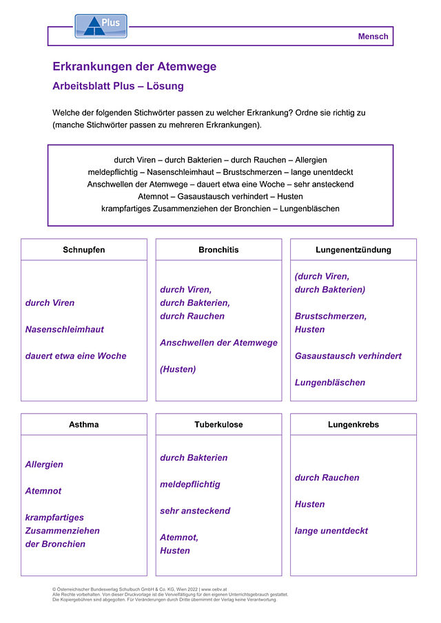 Erkrankungen der Atemwege