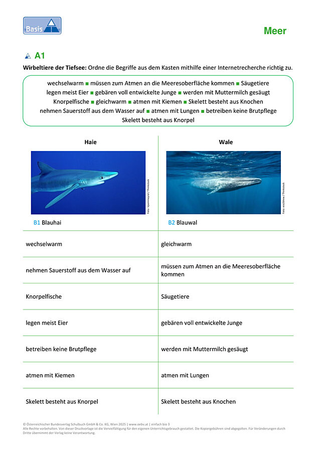 Tiere des freien Wassers