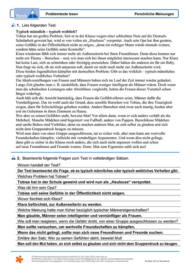 Problemtexte lesen