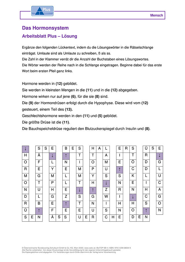 Das Hormonsystem