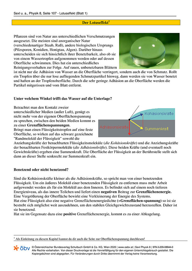 Der Lotuseffekt