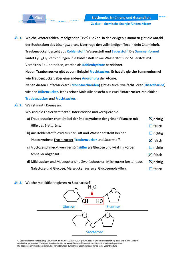 Zucker – chemische Energie für den Körper