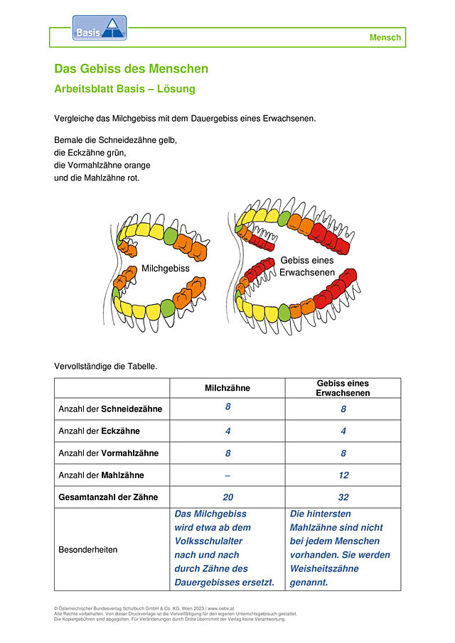 Verdauung