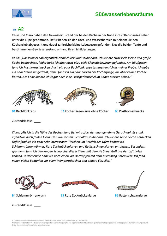 Zeigerorganismen