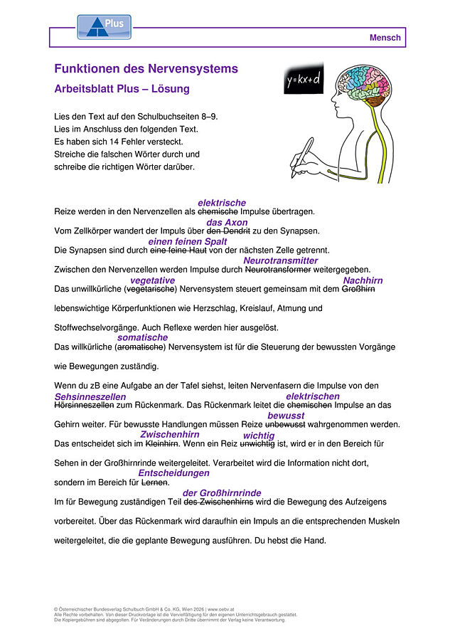 Das Nervensystem und seine Funktionen