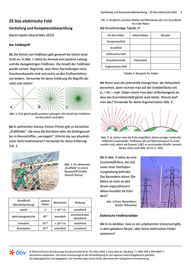 Das elektrische Feld