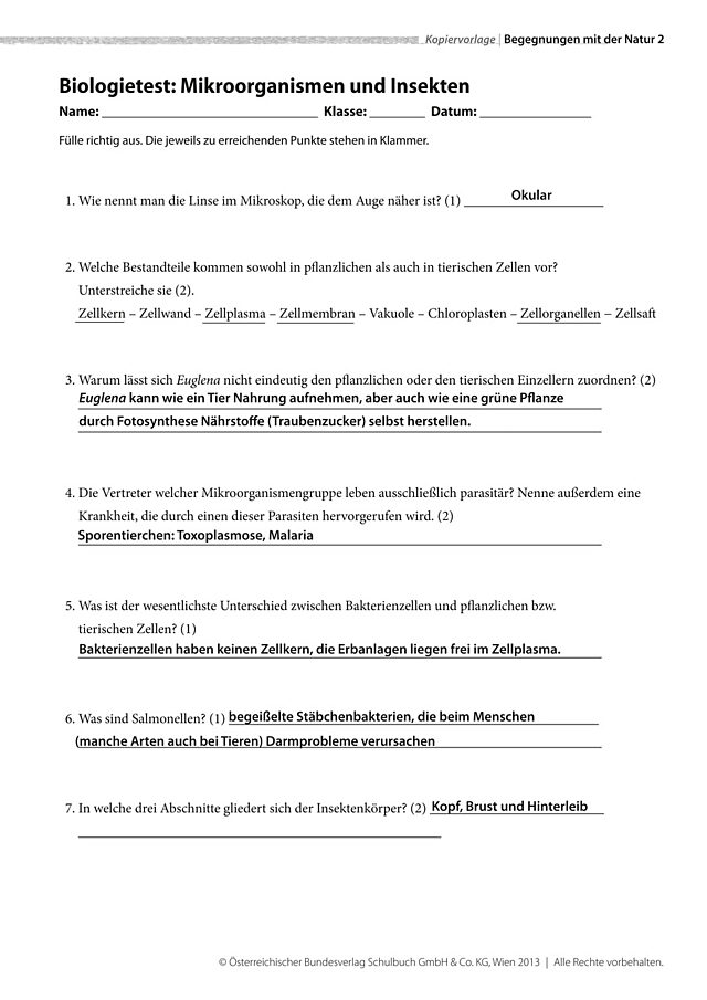 Mikroorganismen und Insekten
