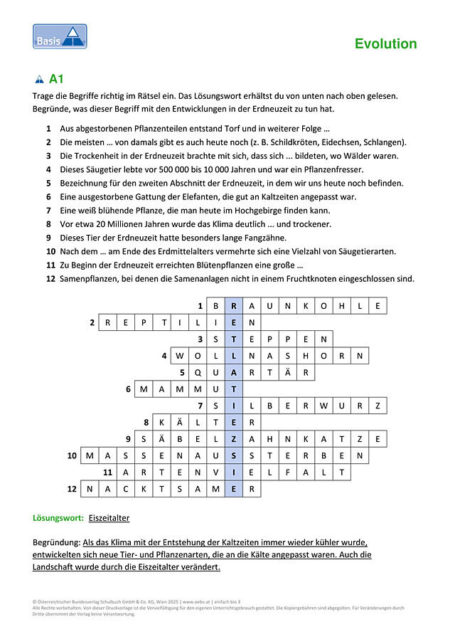 Erdneuzeit