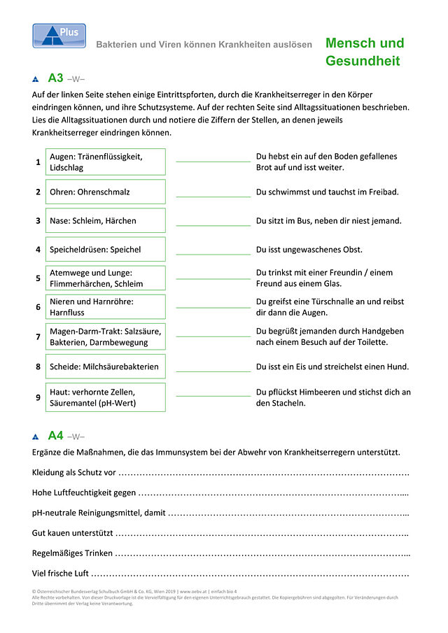 Bakterien und Viren